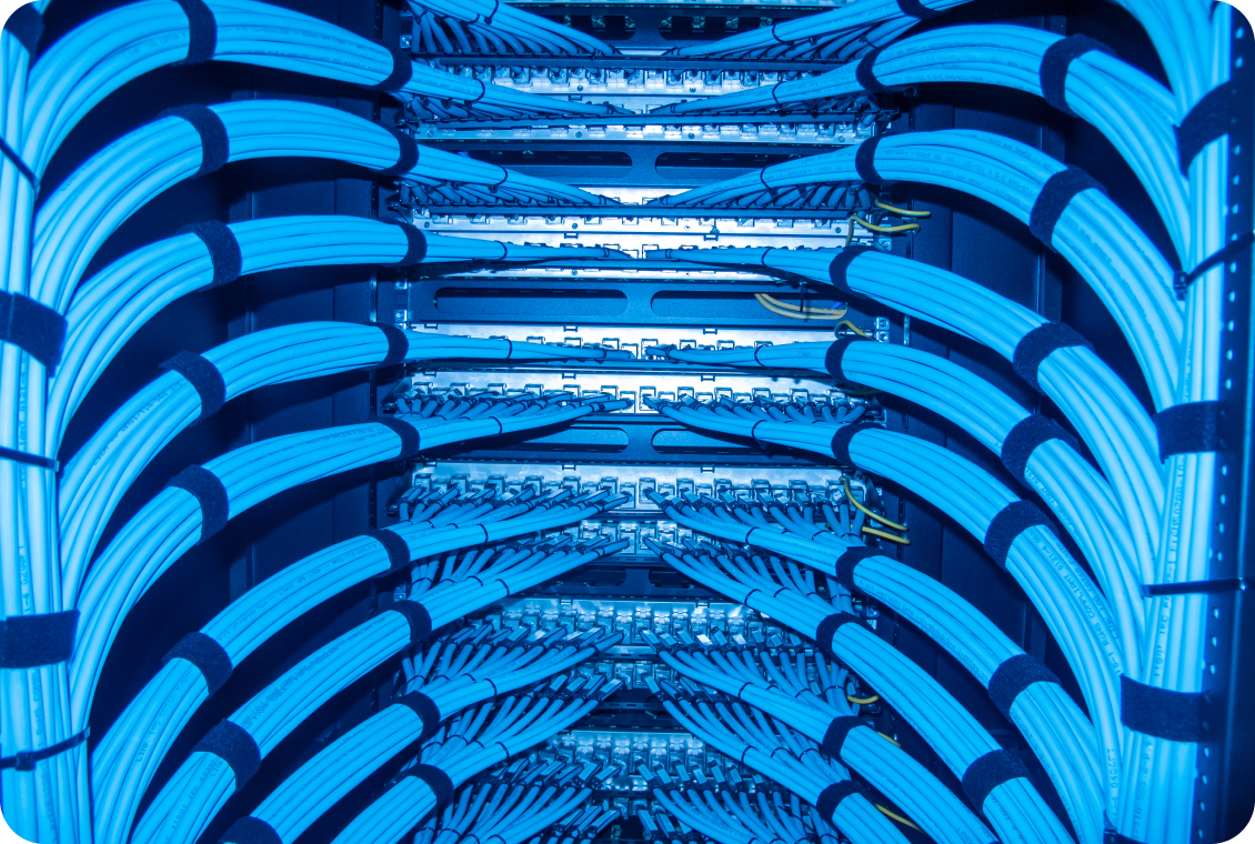 Blue network cables in server rack